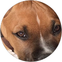 pauline L. profile picture